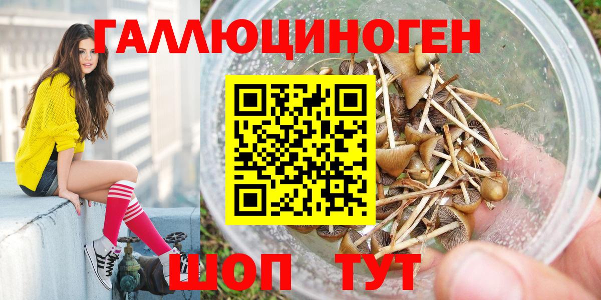 Кыштым  Галлюциногенные грибы прущие грибы  Псилоцибиновые грибы мицелий  Вход с VPN 